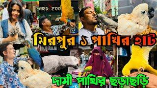 দামী পাখিতে সয়লাব | Mirpur 1 Pakhir Hat | মিরপুর ১ পাখির হাট | Moluccan Bird Price #viralvideo