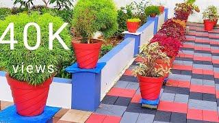 A beautiful foliage garden tour video | ഒരു അടിപൊളി ഇലച്ചെടികളുടെ ഗാർഡൻ കണ്ടാലോ 