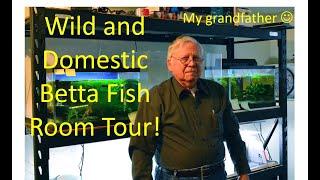 Where the Wild Things Are - My grandfather's wild betta fish room tour