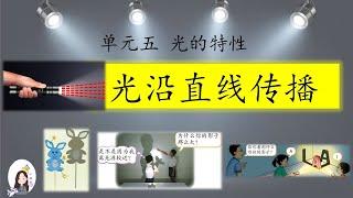 四年级 KSSR Semakan 科学 单元五 光的特性 【光沿直线传播】【影子的清晰度】【影响影子大小形状的因素】