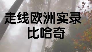 欧洲走线教学1 比哈奇润德国