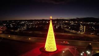See 110 Feet of Mile High Tree Holiday Magic Come to Life!