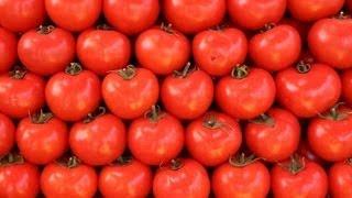 Question Of The Day: Do Tomatoes Prevent Severe Diseases?