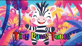 Tiny Paws Tunes - Zebra Stripes