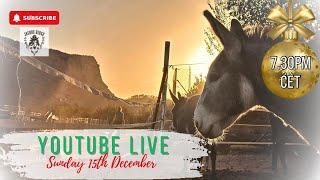 Sunday Live Q&A 15th December 2024