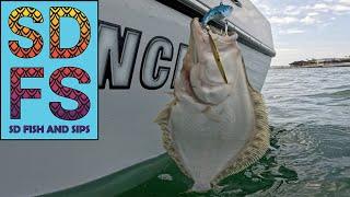 SAN DIEGO BAY DAY | Micro Jig Fishing Halibut Barracuda Spotted Bay Bass Freedom Boat Club