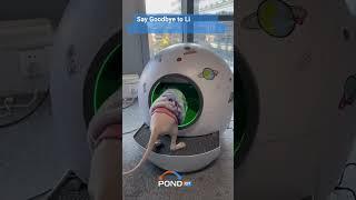 Tech Meow: Smart IoT Gadgets Enhancing Cat Well-being and Bonding