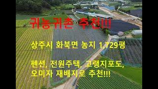 (10818) 상주시 화북면 토지(농지, 개발지) 매매, #상주부동산#상주토지#복돼지공인중개사#복돼지부동산#복돼지