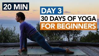 20 Min Morning Beginner Yoga (Day 3) 30 Days of Yoga For Beginners