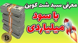 5 شت کوینی که میتونه میلیاردرت کنه - معرفی شت کوین انفجاری