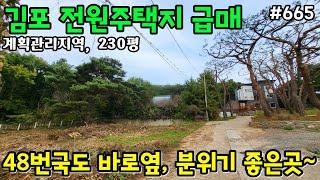 (핫매물#665)김포월곶포내리 전원주택 급매, 대지+도로 230평, 계획관리지역, 국도 바로 옆, 분위기 좋은곳~