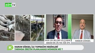 HARUN GÖKSEL İLE TOPRAĞIN HEKİMLERİ   PROF  DR  BÜLENT GÜLÇUBUK