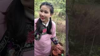 旅游在 云南的中缅边境的 大山里 遇到了一位当地的美女富婆  这哪是菜啊 明明是在捡金子 #中缅边境#六国交界#老挝山#记录真实生活 #乡村守护人 #我的乡村生