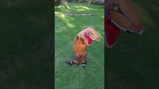 Dog and owner in dinosaur costumes - internet vs reality  #pomeranian #dog