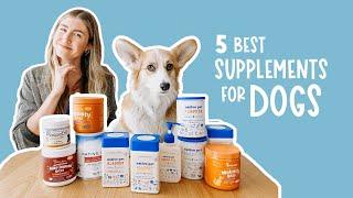 What Supplements Should I Give My Dog | Improve Your Dog’s Diet and Health