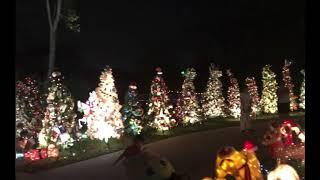 Houston pecan grove Christmas lights