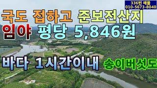 (336번 매물)임야 평당 5,846원.전체가 준보전산지.34번 국도 접.완경사지가 1만여평 있음.아름드리 자연솔숲 있음.동해바다가 40분.송이버섯도 자생.오토캠핑장 가능.자연힐링