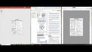 Mitosis - Homework Review Worksheet / Test Prep (by Tangstar Science)