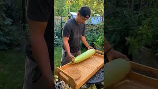 Phillipino vegetables in a Canadian garden
