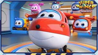  SUPERWINGS5 Super Pets! Full Episodes Live 