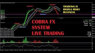 FOREX LIVE - with Cobra Fx system GOLD