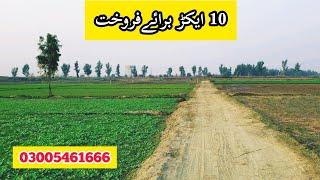 10 Acres Near Bahria Town | Ramkot | Sheikh Da Kot | Raiwind | Lahore Land For Sale | Rakba Sale