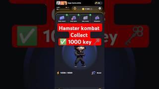 Hamster Kombat collect free redeem code | hamster collect 1000 key | how to collect free key | ️