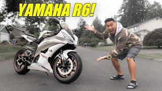 THE BEST 600CC SPORT BIKE EVER MADE! YAMAHA R6