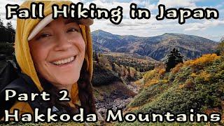 Fall Foliage Hiking | Solo Camping in Japan's Hakkoda Mountains | Sukayu Campsite & Onsen, Aomori