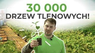 30 000 drzew tlenowych! 