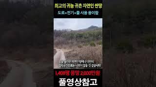 도로+전기+물+계획관리지역 전 1,408평 계곡옆 숨겨진 보물같은 최고의 귀농 귀촌 자연인 싼땅