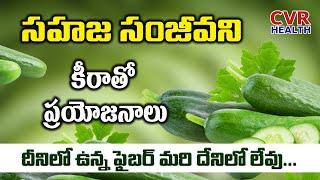 Health Benefits Of Cucumber | Immunity Power | Skin Benefits | CVR Health