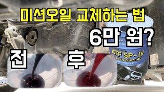 미션오일 교체하는 법(20L 드레인, 현대기아 6단 미션)