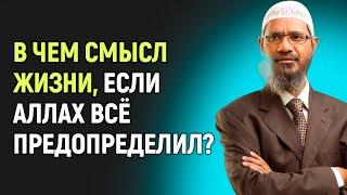 Если Аллах предопределил судьбу каждого, тогда в чем смысл жизни и испытания? - Доктор Закир Найк