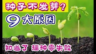 種子為什麽不發芽？影響種子萌發的9個因素你都知道嗎？解答育苗常見問題 | 這些致命錯誤你犯過幾個？學會這些秘訣，種子播種零失敗 9 reasons why seeds won't germinate