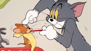 Tom and Jerry cartoon