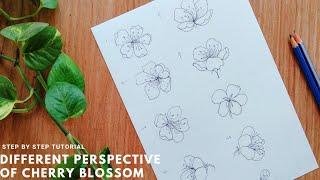 How to draw 8 different cherry blossom flower perspectives . Step by step tutorial for beginners.