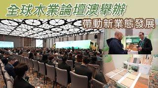 全球木業論壇澳舉辦 帶動新業態發展