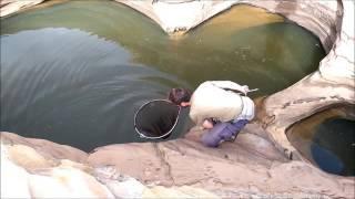 Sampling in El-Khom Sânîyé potholes, Assaba, Mauritania