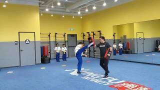 Martial Arts Training and Classes