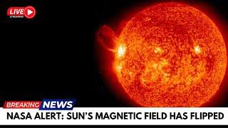 Top NASA Scientist Reveals the SUN'S SHOCKING Magnetic Flip Secret!