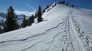 A Most Beautiful Alpine Ridge with Snow Carved by Wind 11,000 feet in Utah #shorts #wideangle #ski