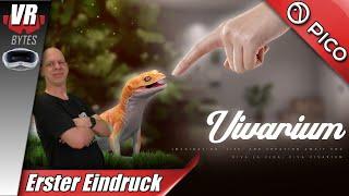 Vivarium VR / PICO 4 Ultra / Deutsch / Erster Eindruck /