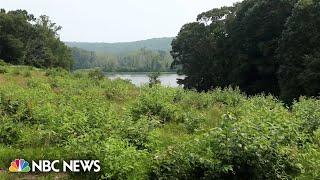 Bobcat attacks Connecticut camp counselor who was sleeping