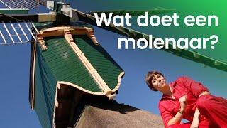 Wat doet een molenaar?