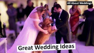 Amazing Wedding Ideas with Lucky the Dog!