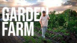 Bio-intensive Market Gardening on 15,000 sqft Organic Farmstead | PARAGRAPHIC