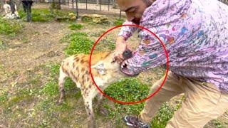 Damn Nature You Scary | Rare & Scary Animal Encounters  #4