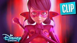 Biedronka staje się Biedronką | Cudowny Świat Paryż | @disneychannel x @Miraculous