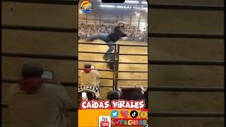 CAÍDAS VIRALES GRACIOSAS WEEE Vol. 1 | #shortsviral  #humor #caidasgraciosas  